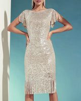 Sparkle Fringe Dress