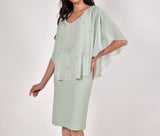 Frank Lyman Chiffon Dress
