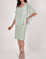 Frank Lyman Chiffon Dress
