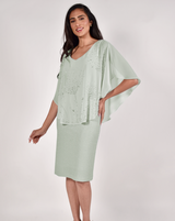 Frank Lyman Chiffon Dress
