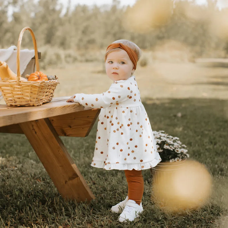 Petit Lem Pumpkin Print Dress Set