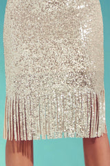 Sparkle Fringe Dress